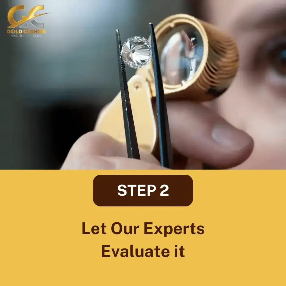experts evaluate